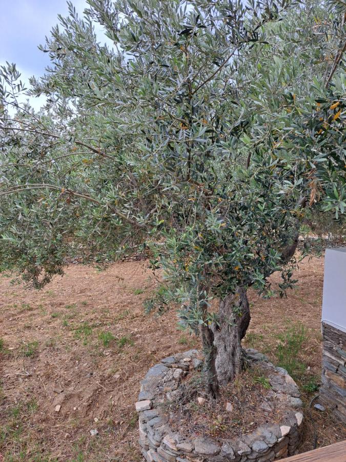 شقة Madilides Platis Gialos  المظهر الخارجي الصورة