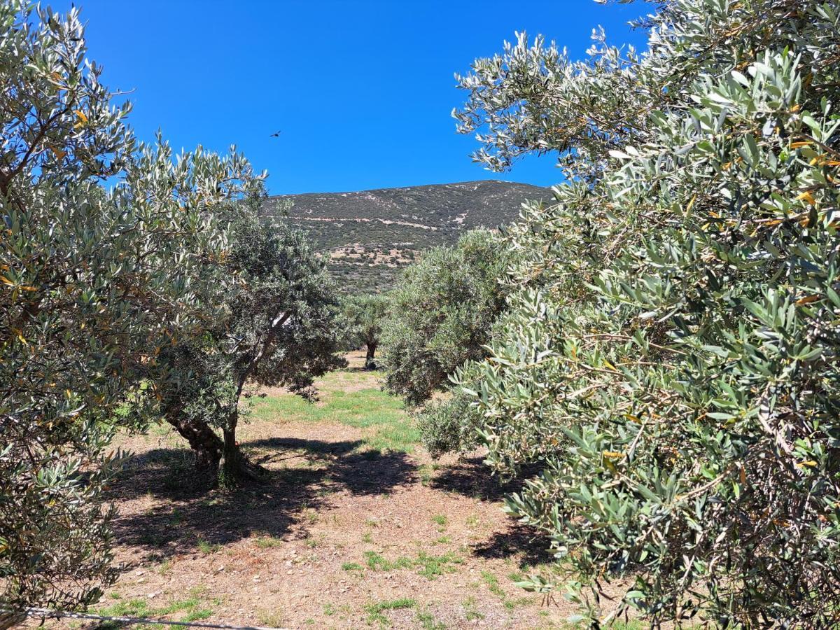 شقة Madilides Platis Gialos  المظهر الخارجي الصورة